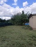 Działka rod Żychlin, EMIT OGRÓD NR 3. Zdjęcie 2