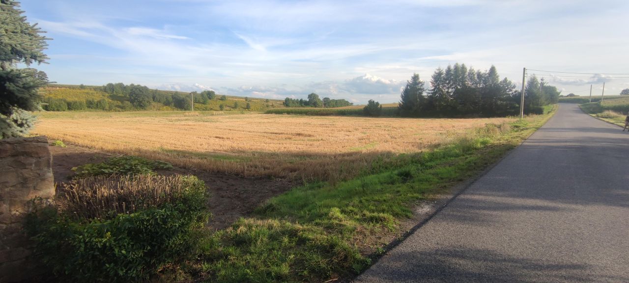 Działka budowlana Prandocin-Iły. Zdjęcie 4