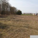 Działka siedliskowa Skrzynki. Zdjęcie 1