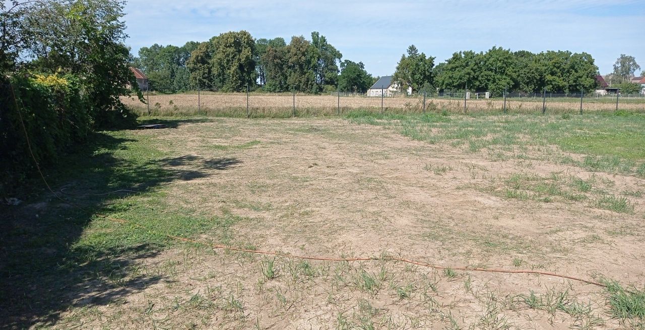 Działka budowlana Niedźwiedzice. Zdjęcie 5