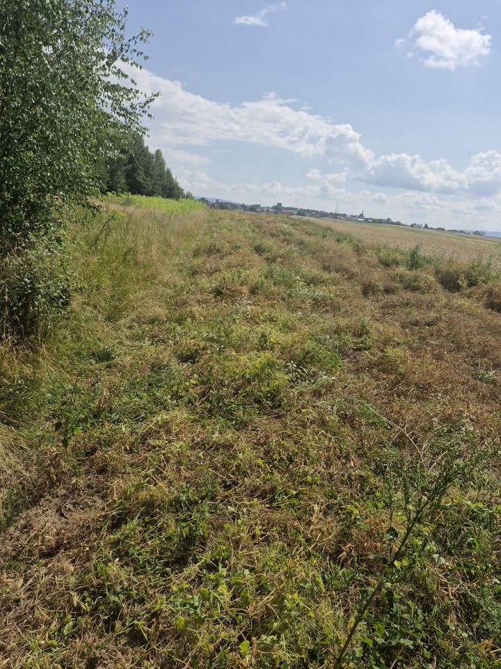 Działka rolna Godów. Zdjęcie 4