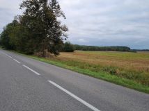 Działka budowlana Brokowo. Zdjęcie 1