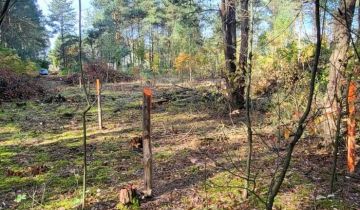 Działka budowlana Skierniewice, ul. Mandarynkowa