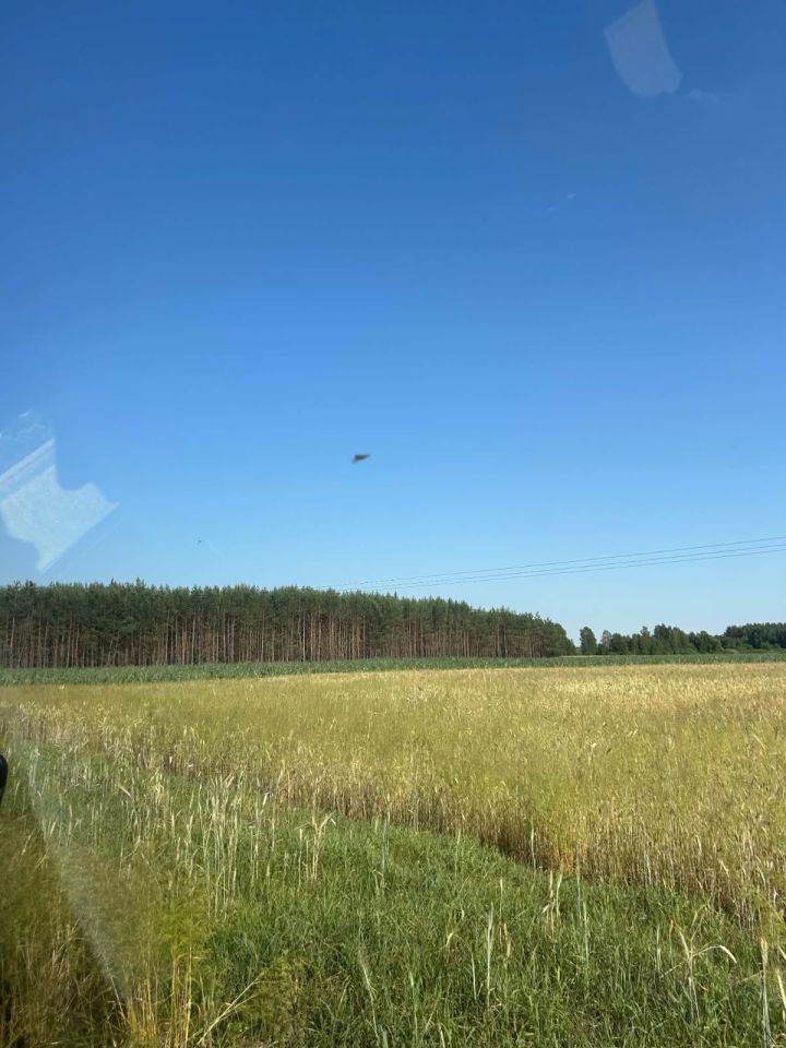 Działka rolna Bużyska. Zdjęcie 7