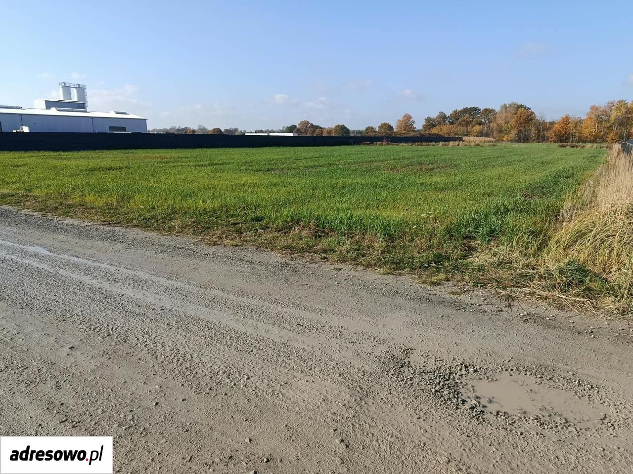 Działka inwestycyjna Straszęcin. Zdjęcie 2