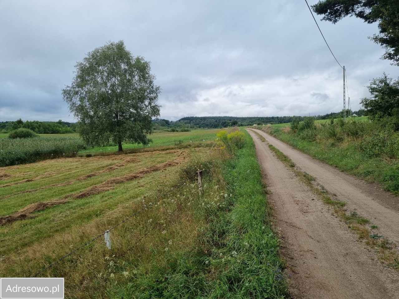 Działka rolno-budowlana Krężno. Zdjęcie 2