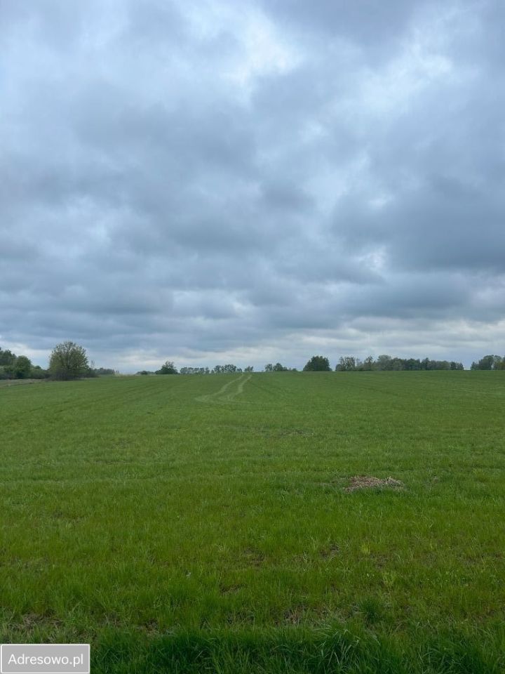 Działka budowlana Dzbanice. Zdjęcie 8