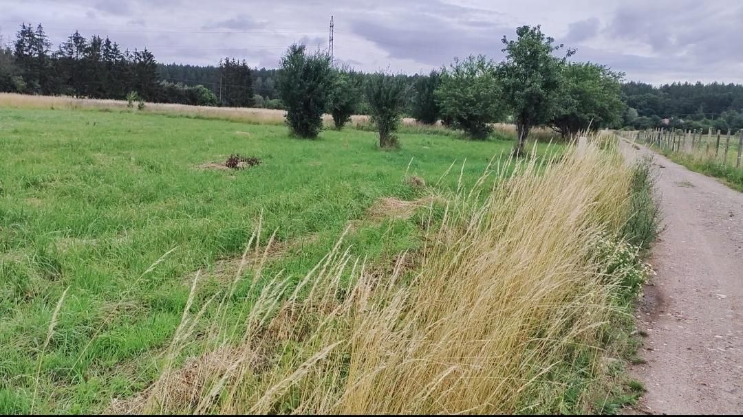 Działka rolno-budowlana Szczecin Płonia, ul. Choinkowa