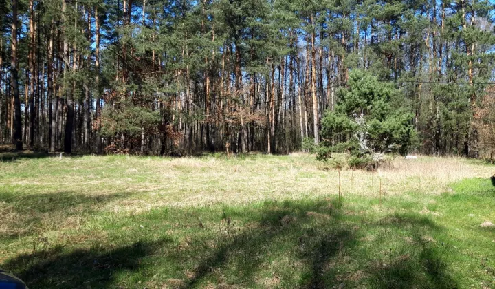 Działka budowlana Niedrzew Drugi