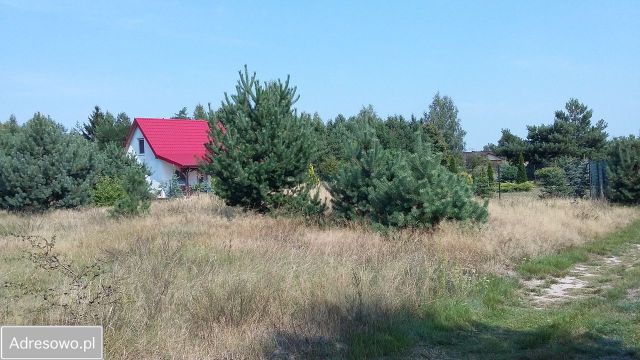 Działka rekreacyjna Wytyczno. Zdjęcie 1