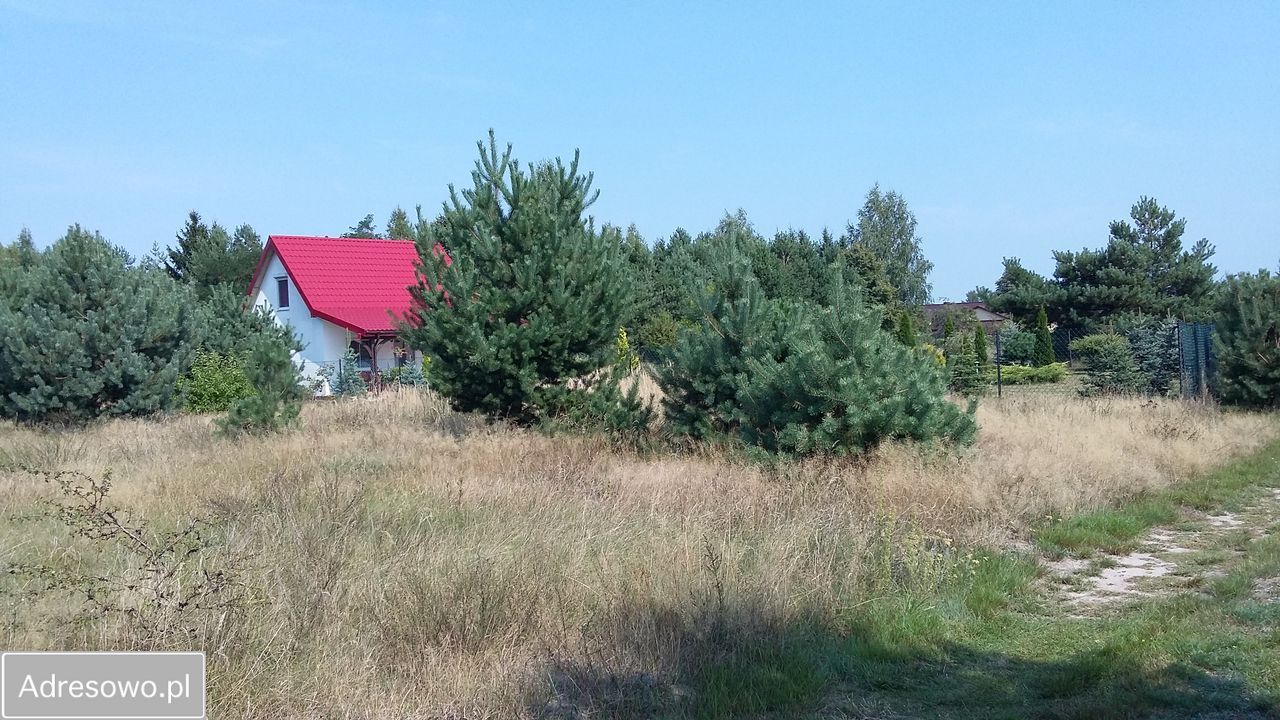 Działka rekreacyjna Wytyczno