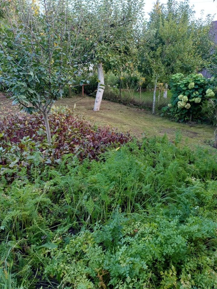 Działka rod Kwidzyn, ul. Furmańska. Zdjęcie 8