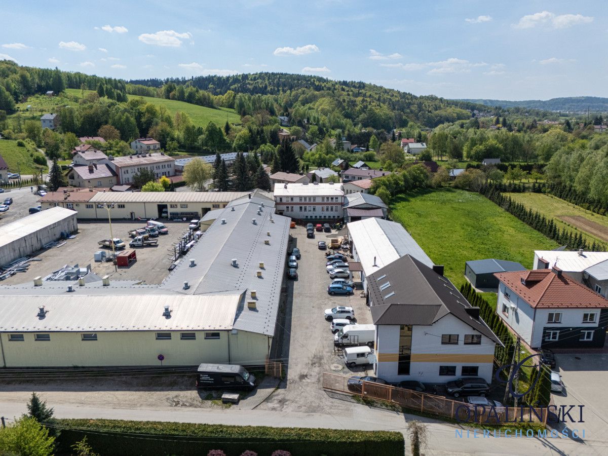 Lokal Lubenia. Zdjęcie 25