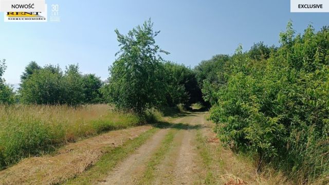 Działka rolna Radawka. Zdjęcie 3