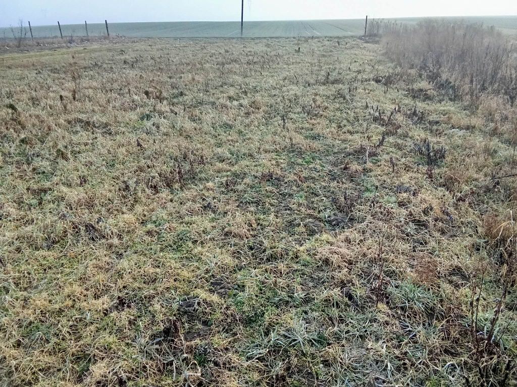 Działka budowlana Przemocze. Zdjęcie 4