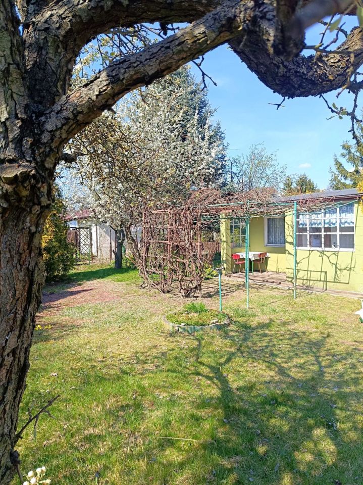 Działka rod Jaryszki. Zdjęcie 6