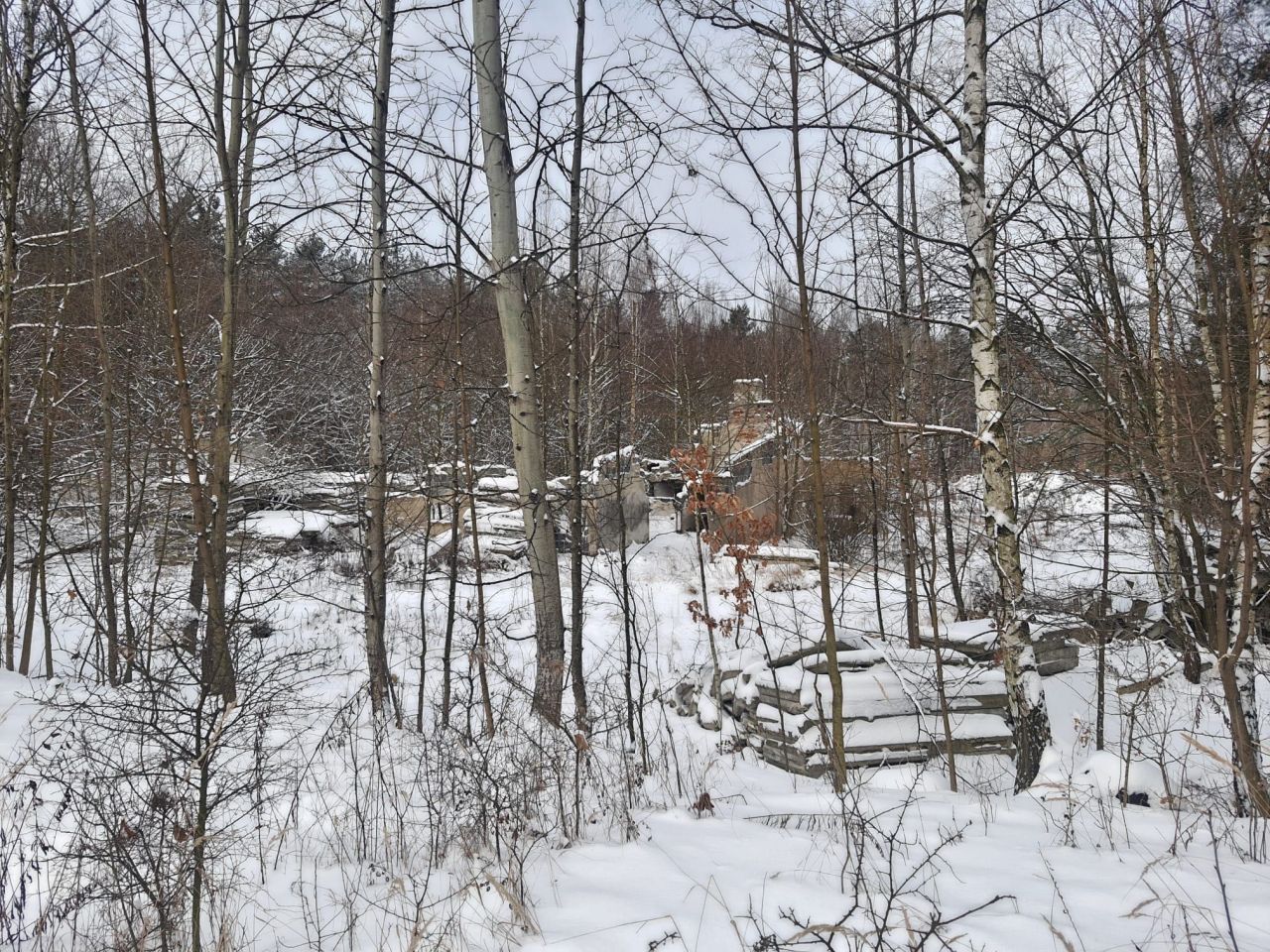 Działka rolna Myszkowice. Zdjęcie 4