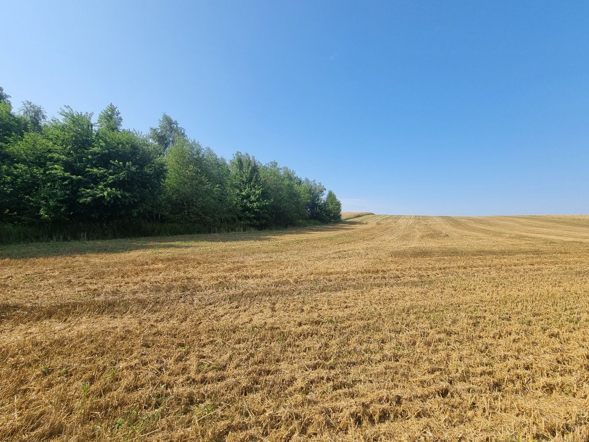 Działka budowlana Oborniki Śląskie, ul. Wolności. Zdjęcie 10