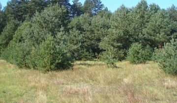 Działka rolno-budowlana Zdunowo