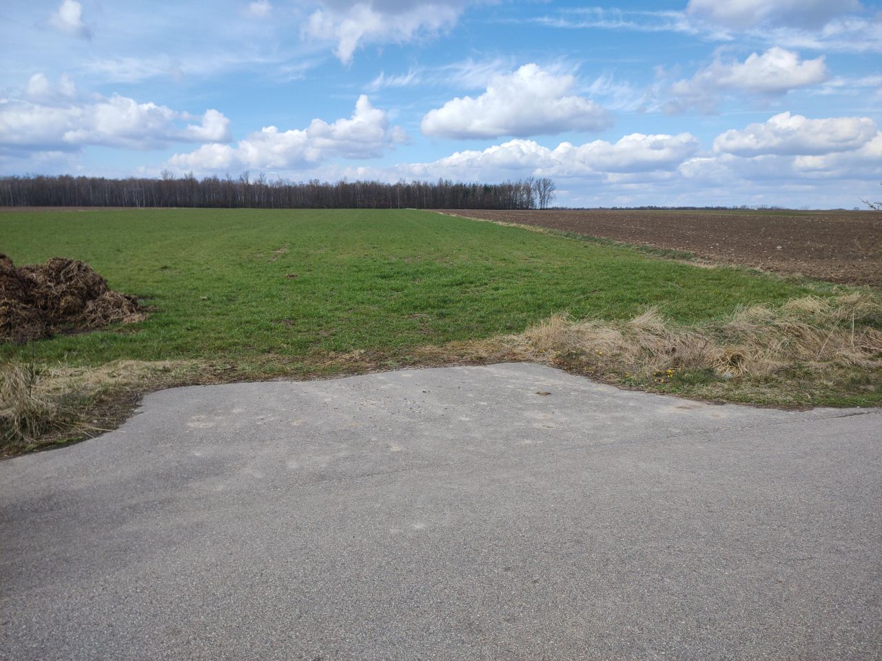 Działka rolno-budowlana Przeździecko-Drogoszewo. Zdjęcie 5