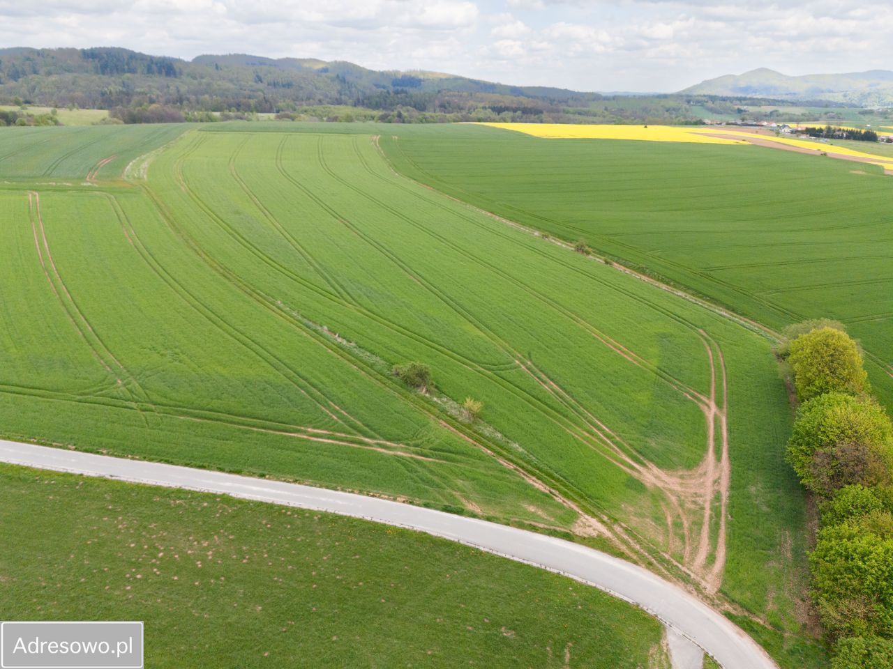 Działka budowlana Wojbórz. Zdjęcie 5