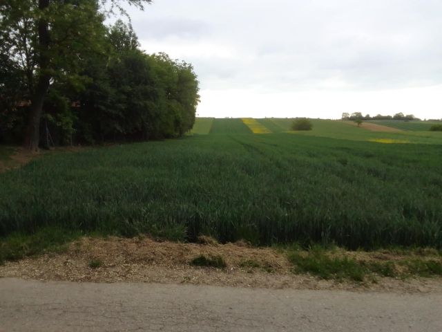 Działka budowlana Nagórzanki. Zdjęcie 1