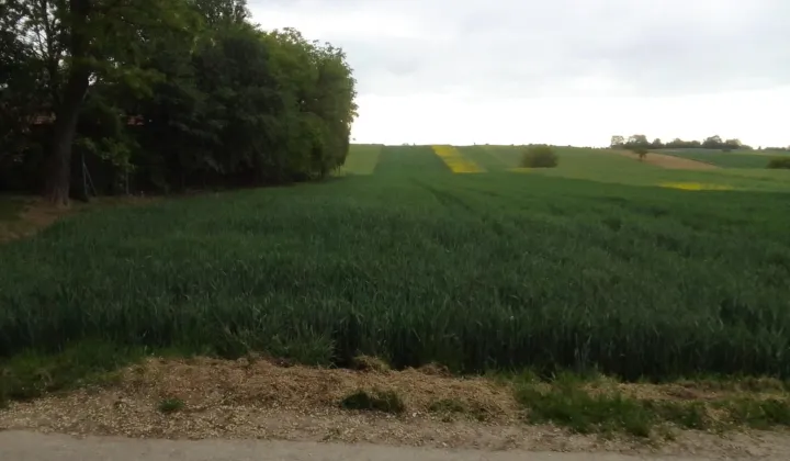 Działka budowlana Nagórzanki