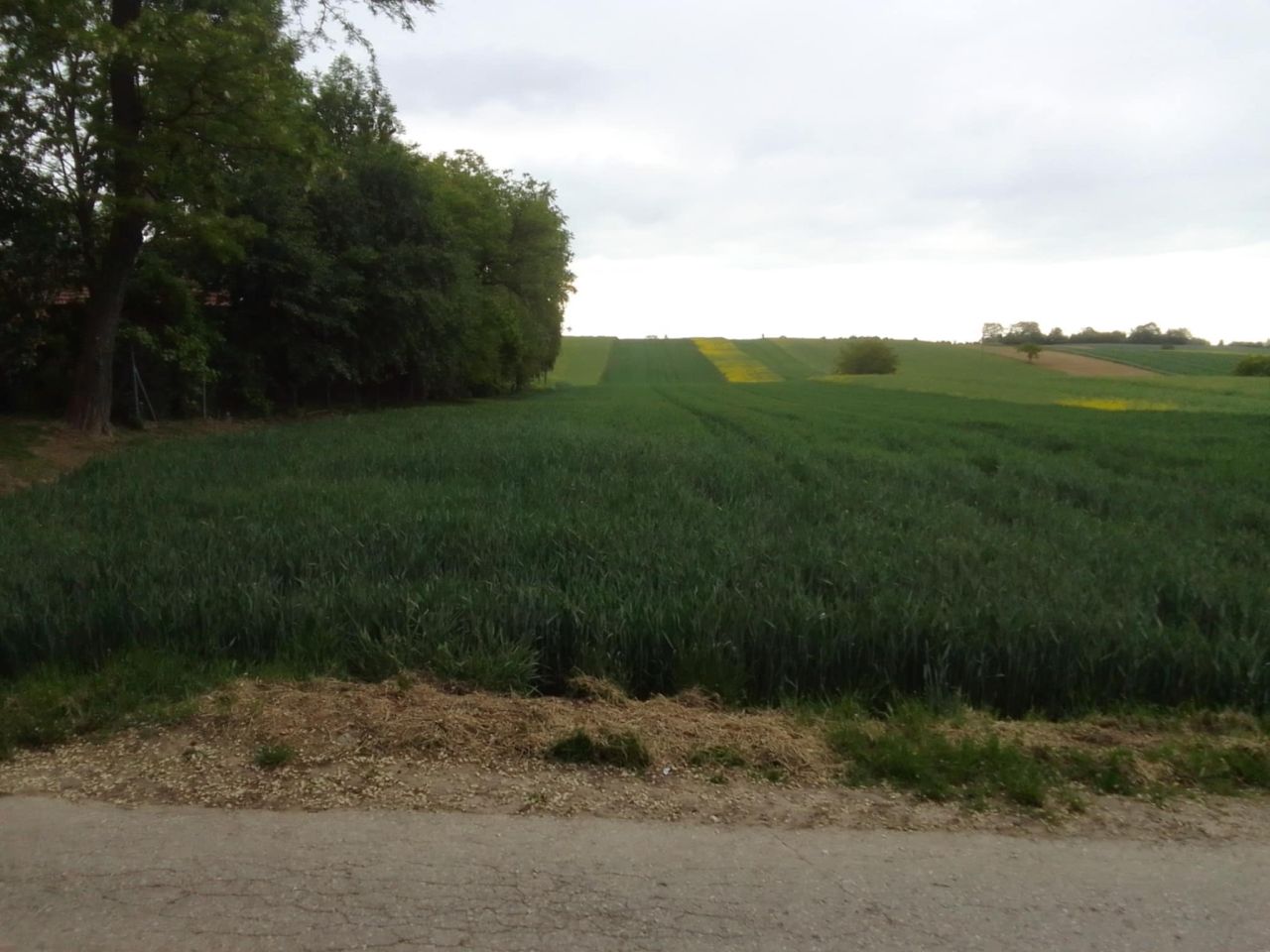 Działka rolno-budowlana Nagórzanki. Zdjęcie 1