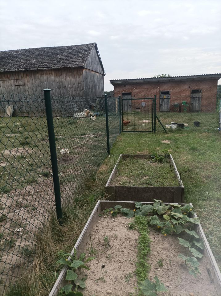 Działka budowlana Owczarnia Cegłówka. Zdjęcie 3