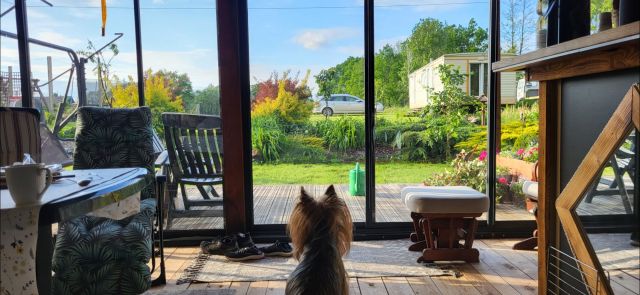 Działka budowlana Kukówko. Zdjęcie 9