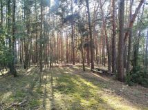 Działka inna Piaski. Zdjęcie 2