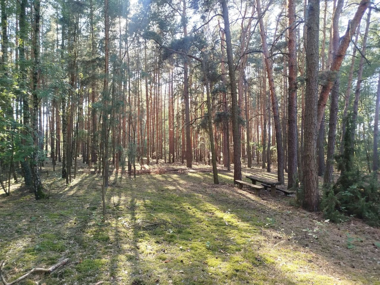 Działka inna Piaski. Zdjęcie 3