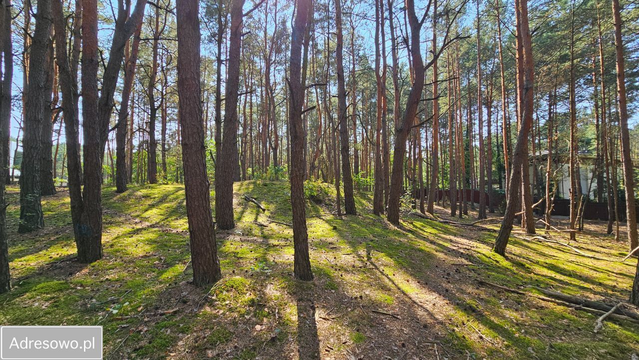 Działka budowlana Hornówek, ul. Jeżynowa. Zdjęcie 10