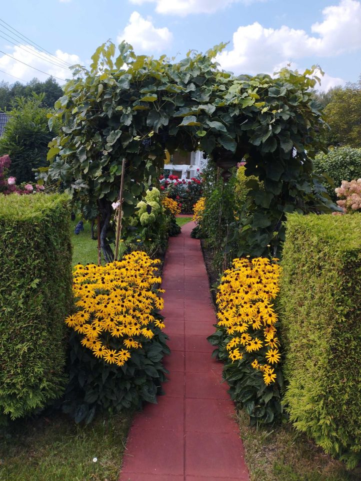 Działka rod Pawlikowice. Zdjęcie 11