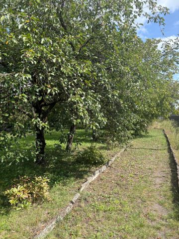 Działka rod Inowrocław Zarwane, ul. Prymasa Józefa Glempa. Zdjęcie 1