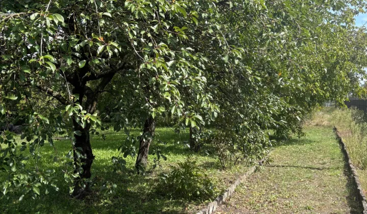 Działka rod Inowrocław Zarwane, ul. Prymasa Józefa Glempa