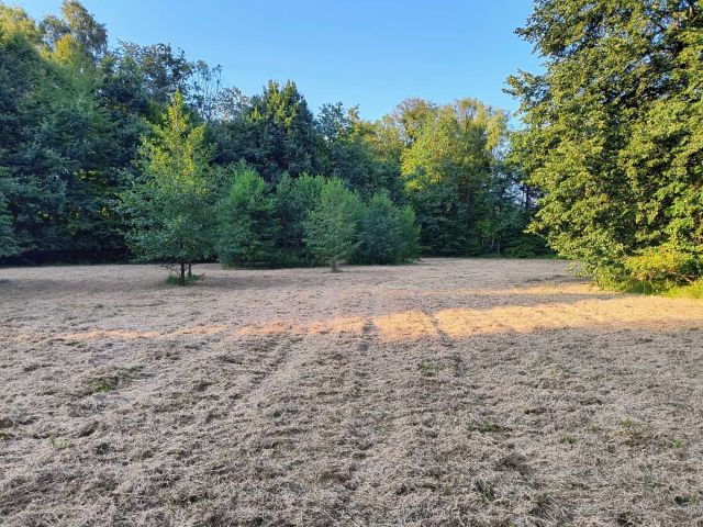 Działka rolna Witkowice. Zdjęcie 1