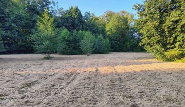 Działka rolna Witkowice