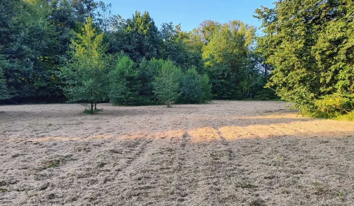 Działka rolna Witkowice