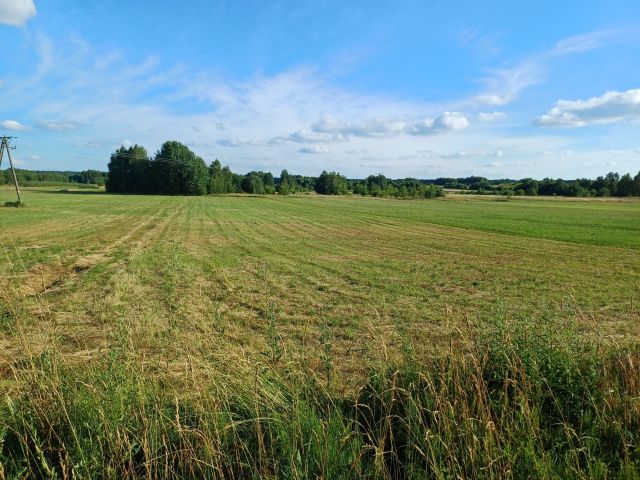 Działka rolno-budowlana Domaszno. Zdjęcie 1