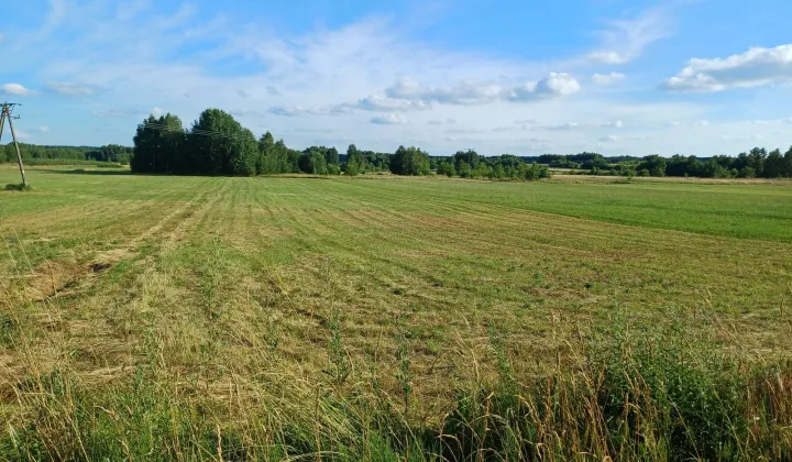 Działka rolno-budowlana Domaszno