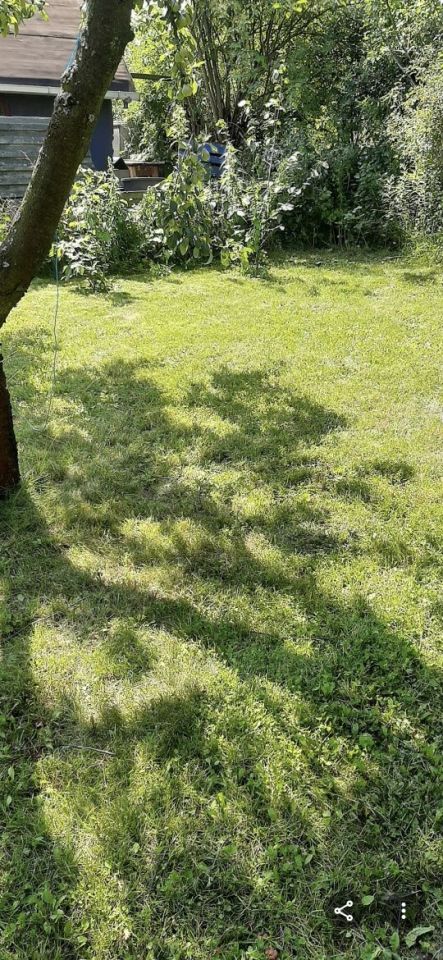 Działka rod Tczew. Zdjęcie 6