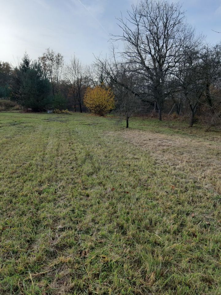 Działka rolno-budowlana Kursko. Zdjęcie 6