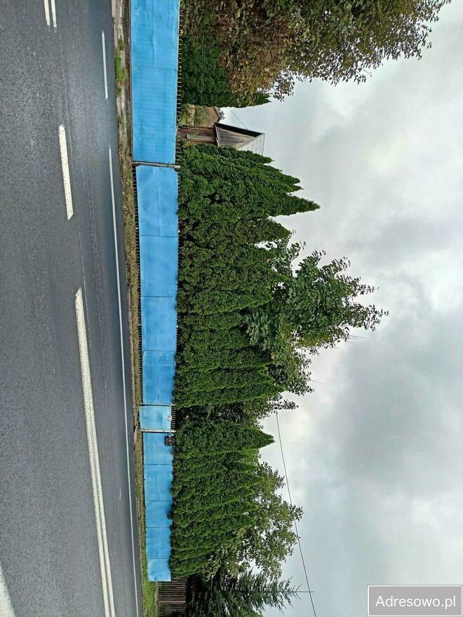 dom wolnostojący, 3 pokoje Pustynia. Zdjęcie 5