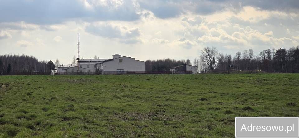 Hala/magazyn Guzów-Kolonia. Zdjęcie 4