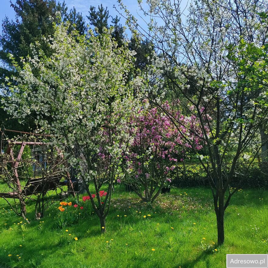 Działka rod Zabierzów. Zdjęcie 8