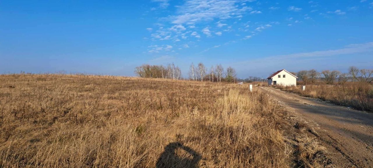 Działka budowlana Sędki. Zdjęcie 8