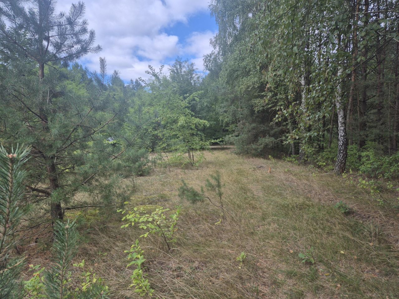 Działka budowlana Kurnos Drugi. Zdjęcie 10