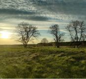 Działka budowlana Drzewce. Zdjęcie 4