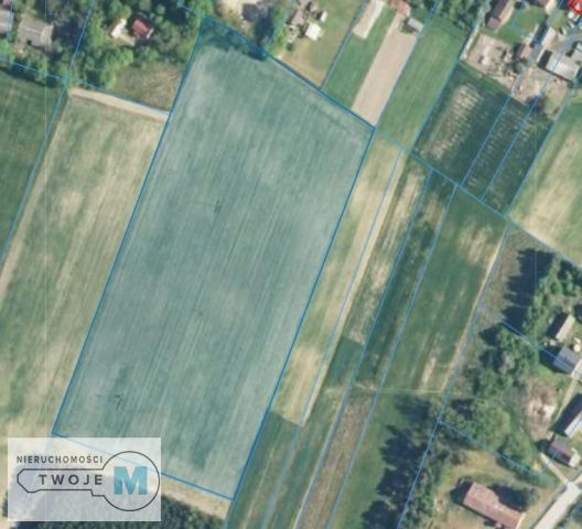 Działka rolna Trzciniec. Zdjęcie 2